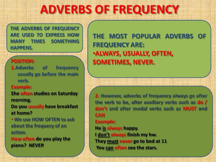 Frequency adverbs. - Primary